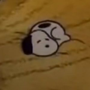 Meet your Posher, Alison